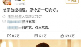 娱乐圈小说推荐吃瓜,从吃瓜小白到顶级瓜农的华丽蜕变